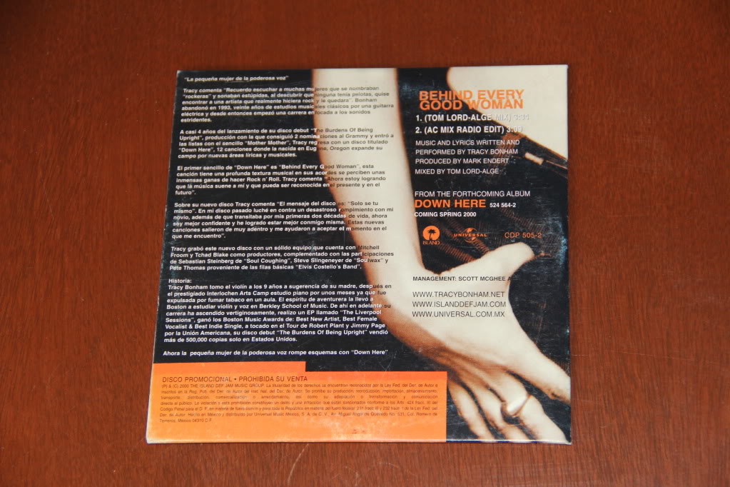 http://tracybonham.misterlinks.net/images/behindeverygoodwoman-promo-mexico-back.jpg