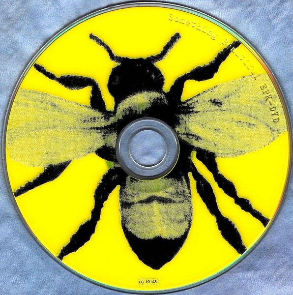 http://tracybonham.misterlinks.net/images/somethingbeautiful-disc-epk-dvd.jpg